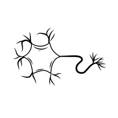 hand drawn cell neurons on white background