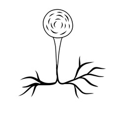 hand drawn cell neurons on white background