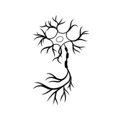 hand drawn cell neurons on white background