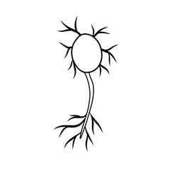 hand drawn cell neurons on white background