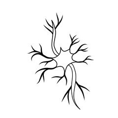 hand drawn cell neurons on white background