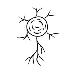 hand drawn cell neurons on white background
