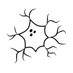hand drawn cell neurons on white background