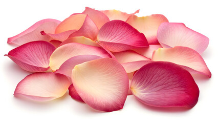 Scattered Pink Rose Petals &ndash; Soft Floral Texture on White Background for Romantic, Spa, and Decorative Use