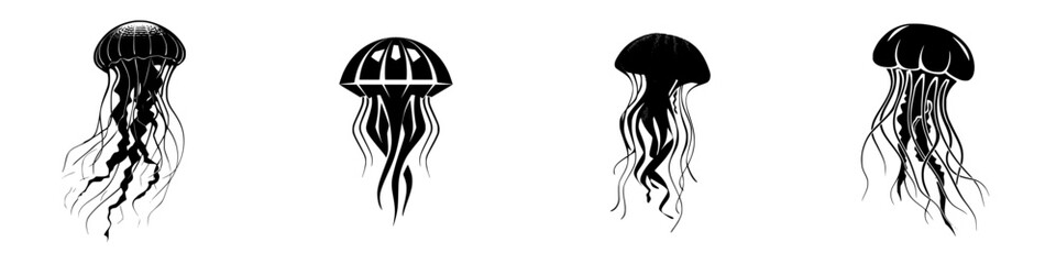 Different types of jellyfish swimming in water showcasing unique