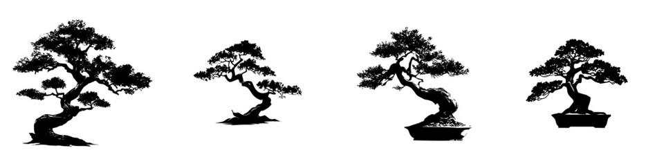 Different types of bonsai trees showing various shapes and styles