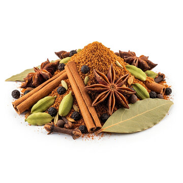 Garam masala showcasing warm brown spice tone
