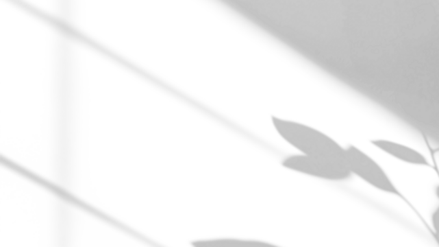 branch of a tree with leaves shadow,shadow overlay effect of natural tree leaves shadow and window shadow over on white wall,abstract summer sunlight shadow on transparent background,branch shadow - Powered by Adobe