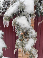 Detail of ice sculpture naturally formed by freezing water