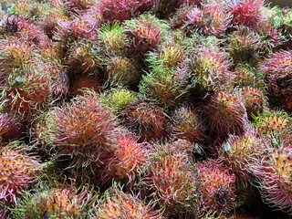 Close up panning shot of fresh red rambutan fruits. Detailed view of piled exotic tropical fruit showing hairy skin texture, green spine tips, and vibrant color.