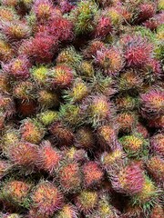 Close up panning shot of fresh red rambutan fruits. Detailed view of piled exotic tropical fruit showing hairy skin texture, green spine tips, and vibrant color.