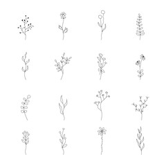 Hand drawn botanical elements in minimalist line style. Floral doodle set with leaves, branches and wild plants. Black outline illustration isolated on transparent background for design