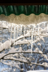Row of icicles hanging from a green corrugated roof in winter sunshine