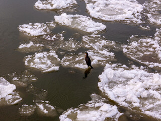 Warszawa, zimowa panorama miasta © hunter76