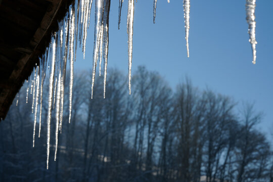 Row of icicles hanging from a green corrugated roof in winter sunshine