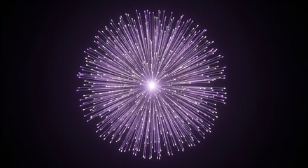 A vibrant explosion of purple fireworks glows against the black night sky, creating a bright pattern of sparkling rays and holiday light that shines like a cosmic star design in space