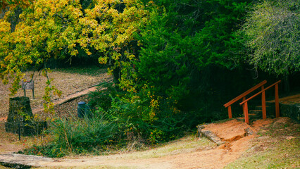 Dirt trail curves gently uphill, bordered by wooden handrail and stone edging, leading through sparse trees with golden leaves, inviting hikers into peaceful forested corridor, Coppell, Texas