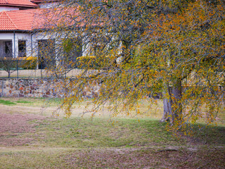 Upscale two-story suburban home features balcony and chimney, surrounded by landscaped bushes and trees with golden foliage, blending suburban design with seasonal textures, Coppell, Texas