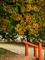 Wooden handrail structure stands amid fallen leaves and gravel, surrounded by vibrant foliage and grassy terrain, offering a peaceful blend of man-made and natural elements, Coppell, Texas
