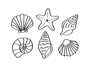 Hand Drawn Seashell and Starfish Doodle Icons Set. Marine Shell Sketch Collection, Ocean Beach Summer Symbols. Black Outline Illustration Isolated on Background. Natural Graphic Elements Clipart