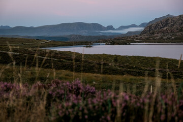 Panorama di brughiera naturale al tramonto