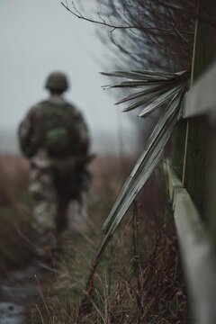Camouflage-clad soldier walking away along a fence on a misty day; frosted palm-like leaves in the foreground. Concept Camouflage-clad soldier, Fence-lined path, Misty atmosphere