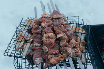 Mixed Seafood Meat, Variety Of Grilled Skewers, Assorted Seafood And Meat Skewers On Grill