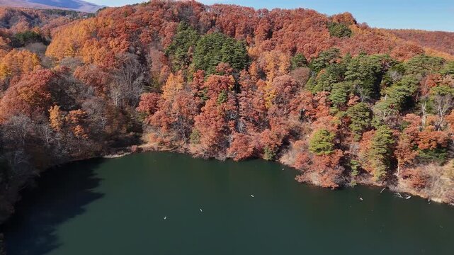 紅葉の松原湖（空撮） - 長野県南佐久郡小海町,日本