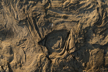 The stone surface is formed by sedimentary rocks of the Black Sea and geological processes. Background of sandstone and limestone.