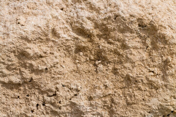 Fossil corals of the Red Sea. Ancient creatures, turned into stone. Reef corals. © Piotr