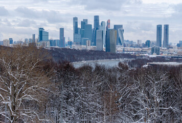 Winter Cityscape with Snow-Covered Forest and River