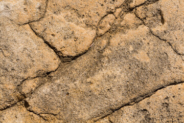 The stone surface is formed by sedimentary rocks of the Black Sea and geological processes. Background of sandstone and limestone.