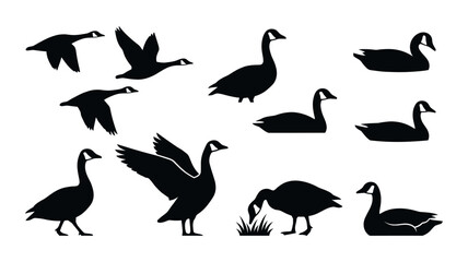 Fototapeta premium Geese silhouettes flying, walking, and swimming icons
