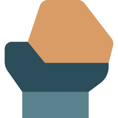 Fist raised in solidarity, power, and protest