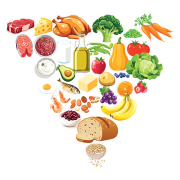 The new Dietary Guidelines for Americas. New Food Pyramid 2025. Eat Real Food USA.