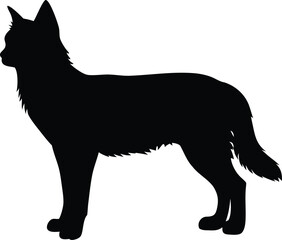 Strong Canine Silhouette Standing Alertly with Upright Ears and Distinctive Stance