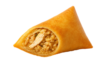Delicious chicken empanada isolated on transparent background