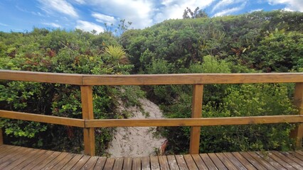 Uma trilha suspensa sobre a vegetação de restinga (área de preservação permanente - APP), em madeira, de baixo impacto ambiental, para a travessia para a praia do Campeche,  na cidade de Florianópolis © Ricardo_S_Levenhagen