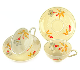 Vintage Porcelain Tea Set with Autumn Floral Pattern