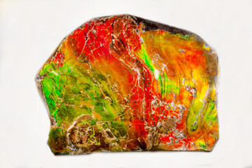 Ammolite is red yellow and green on a light background. Gems, mineralogy, jewelry.