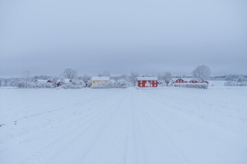 Winter landscape with snow and frost