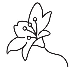 lily flower in doodle style in vector. Element for poster sticker design decoration postcards prints