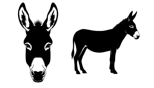 Illustration showing a donkey face and a donkey silhouette in black and white color scheme design editable vector
