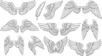 Hand Drawn Angel Wings Line Art Set, Detailed Feather Illustrations for Tattoo Design, Coloring Book, Logo, Emblem, and Vintage Decorative Graphics © Hello there