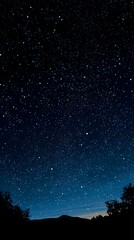 Fototapeta premium Countless pinpricks of light illuminate the deep indigo night sky above a silhouetted mountain range