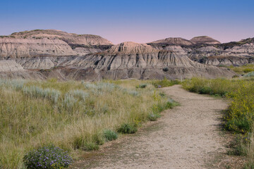 Horseshoe canyon, kneehill county, Alberta, Canada