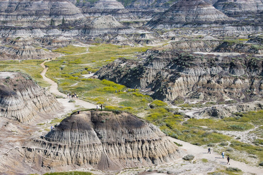 Horseshoe canyon, kneehill county, Alberta, Canada