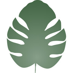 Monstera Leaf Silhouette Icon