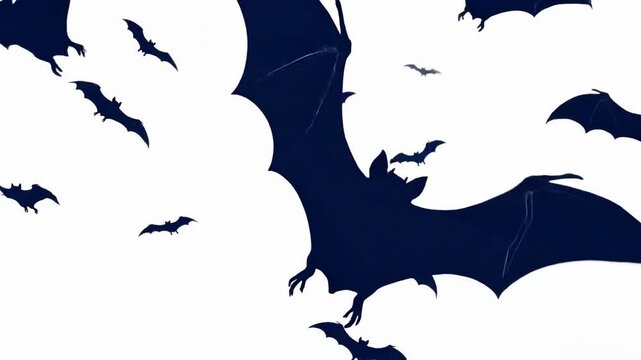 Bat silhouette flying on white backdrop illustration