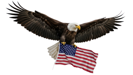 Bald Eagle with American Flag Isolated on Transparent Background